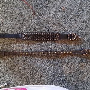 Leather dog collar